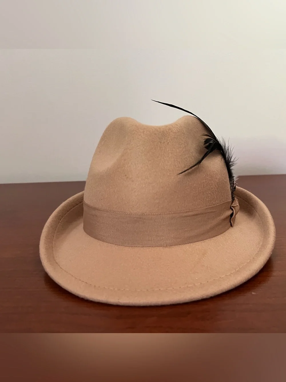 Tan Wool Felt look Fedora Hat with Decorative Feathers